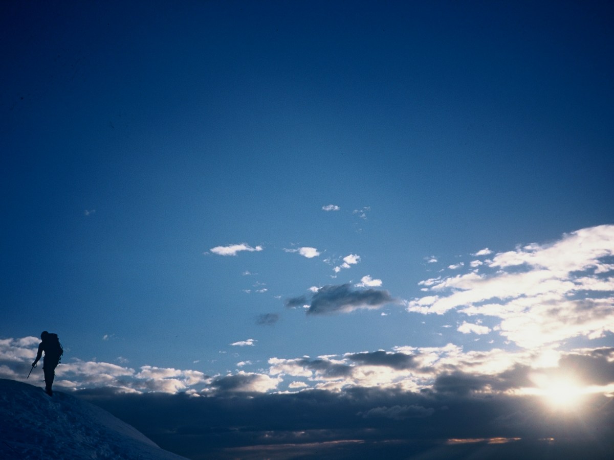 Stakeholder Hierarchy